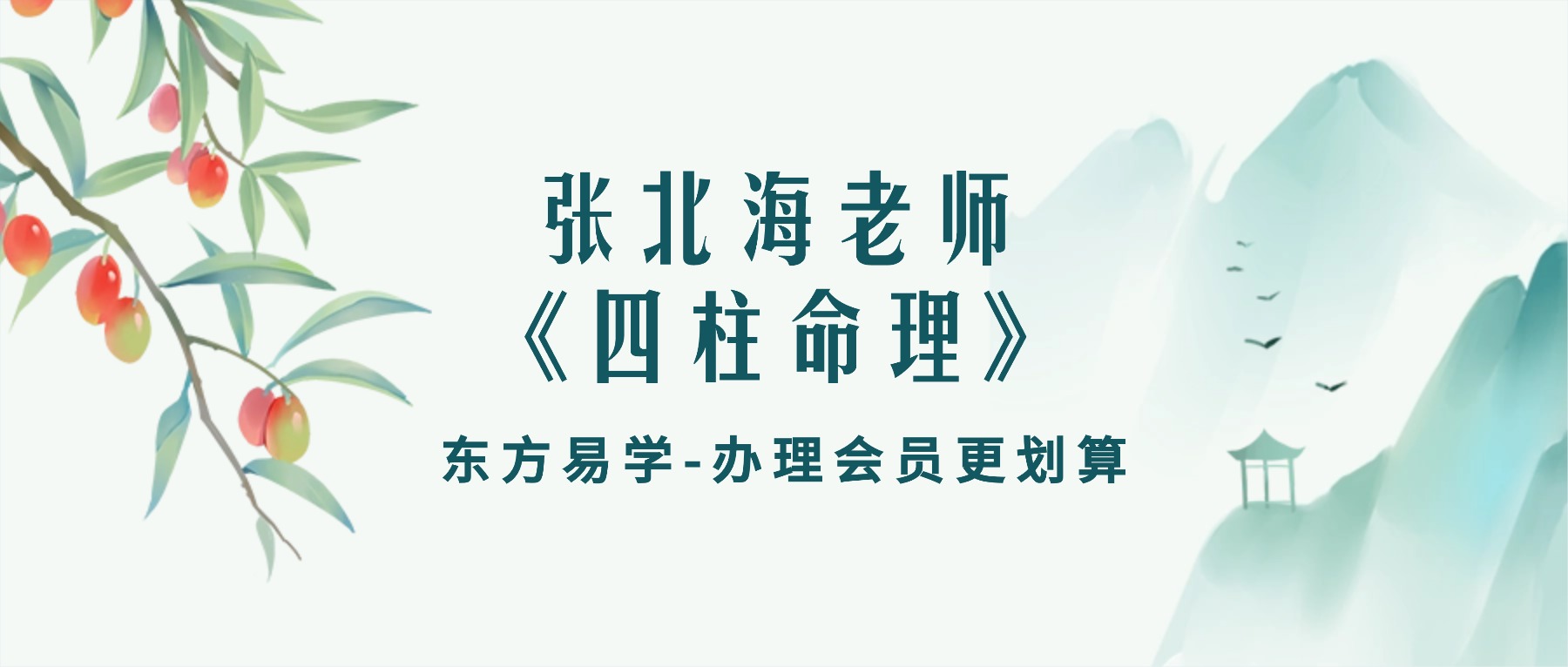 张北海老师《四柱命理》视频42集