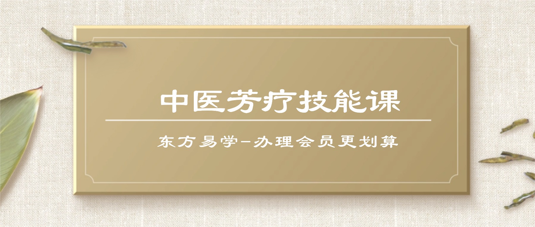 中医芳疗技能课 视频87集（东方易学）