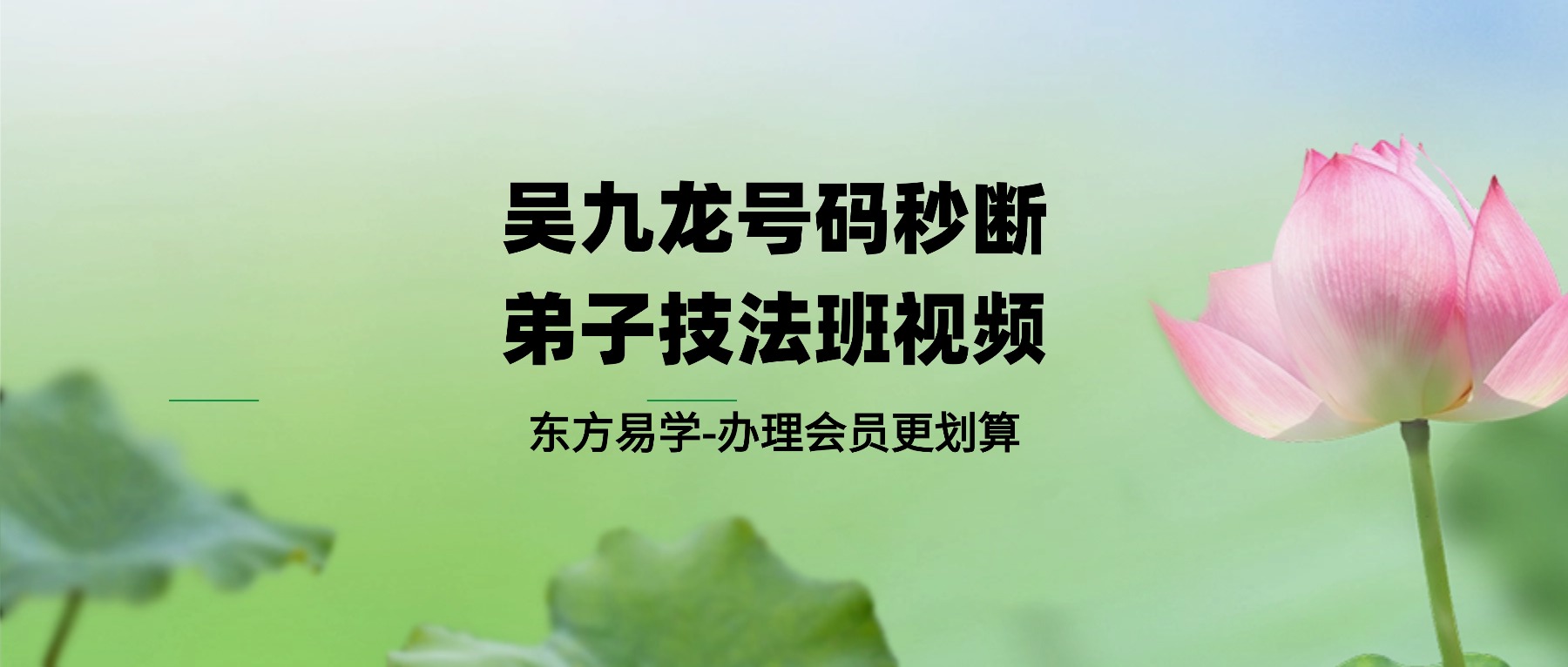 吴九龙号码秒断弟子技法班视频（东方易学）