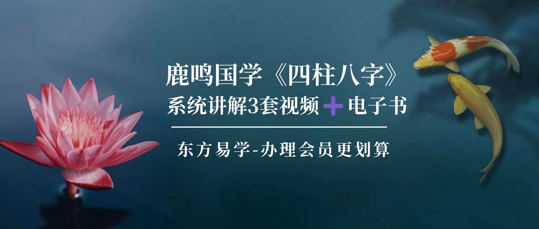 鹿鸣国学《四柱八字》系统讲解3套视频➕电子书两本