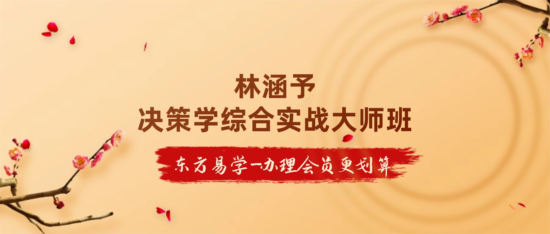 林涵予决策学综合实战大师班 视频56集（东方易学）
