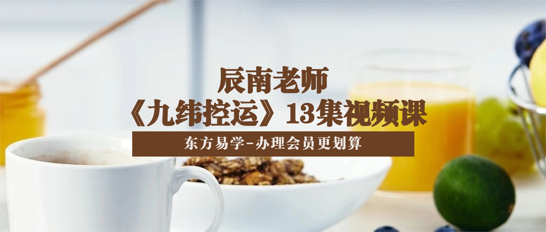 辰南老师《九纬控运》13集视频课