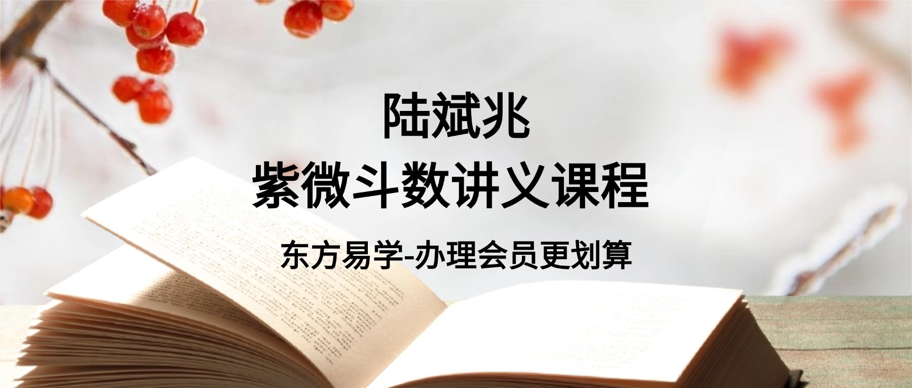 陆斌兆紫微斗数讲义课程 视频30集（东方易学）