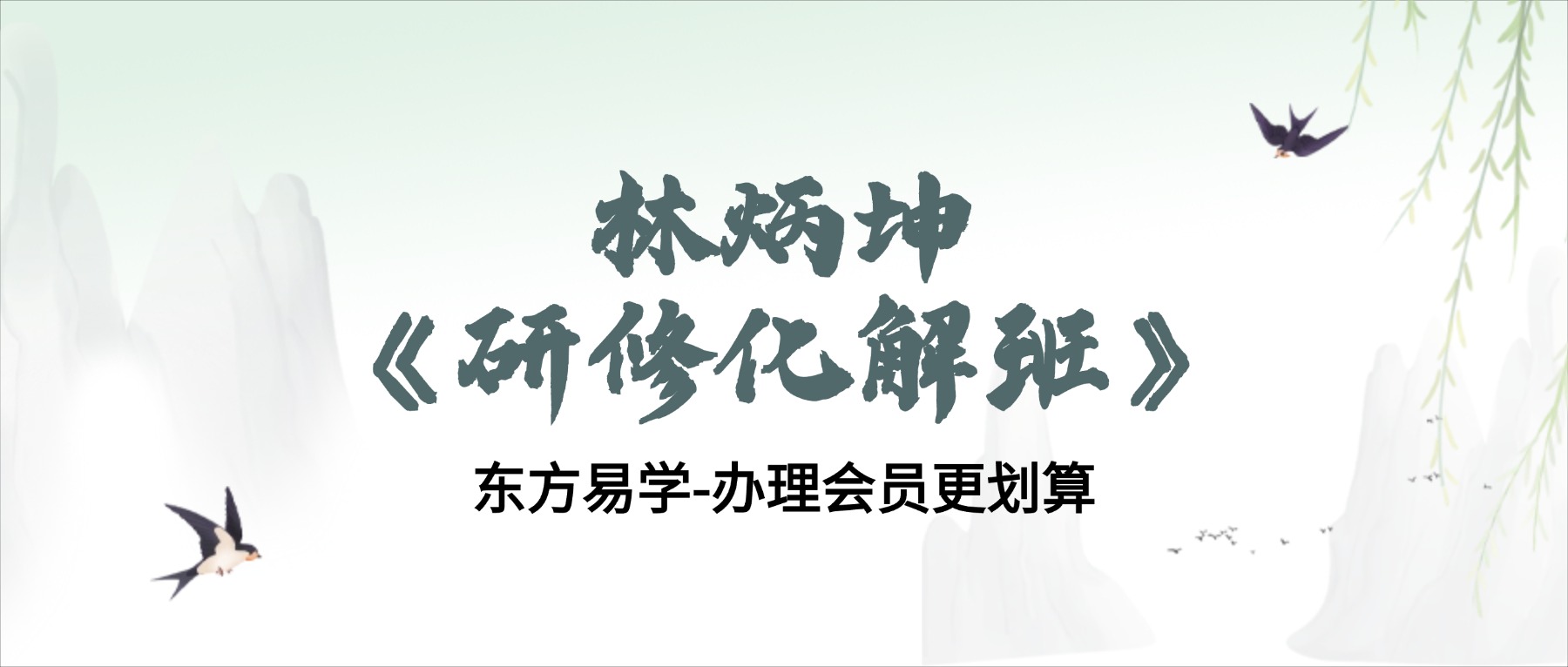 林炳坤《研修化解班》视频34集