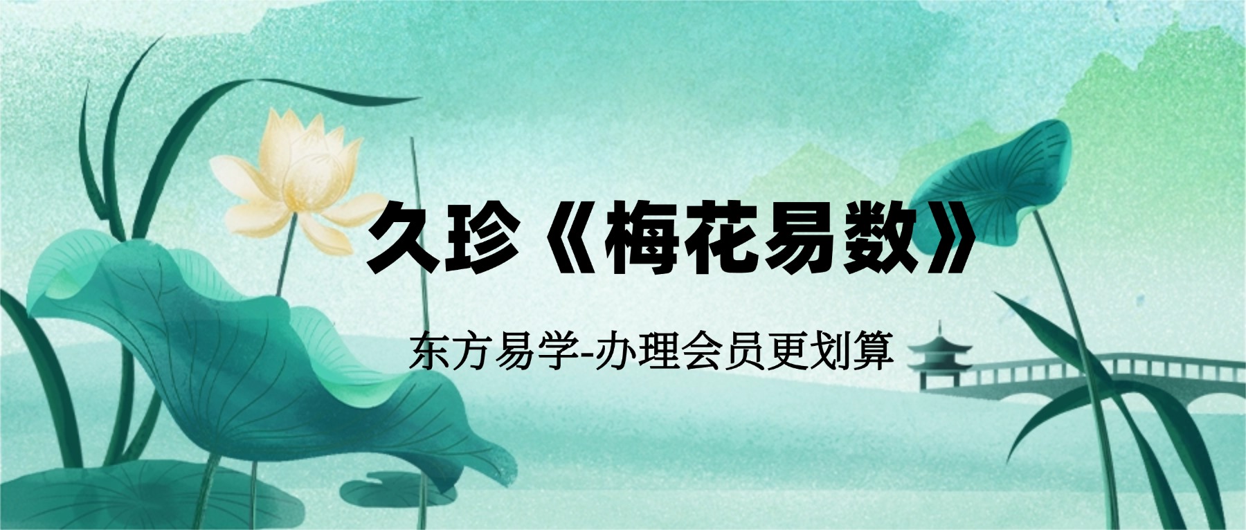 久珍《梅花易数》课程视频30集