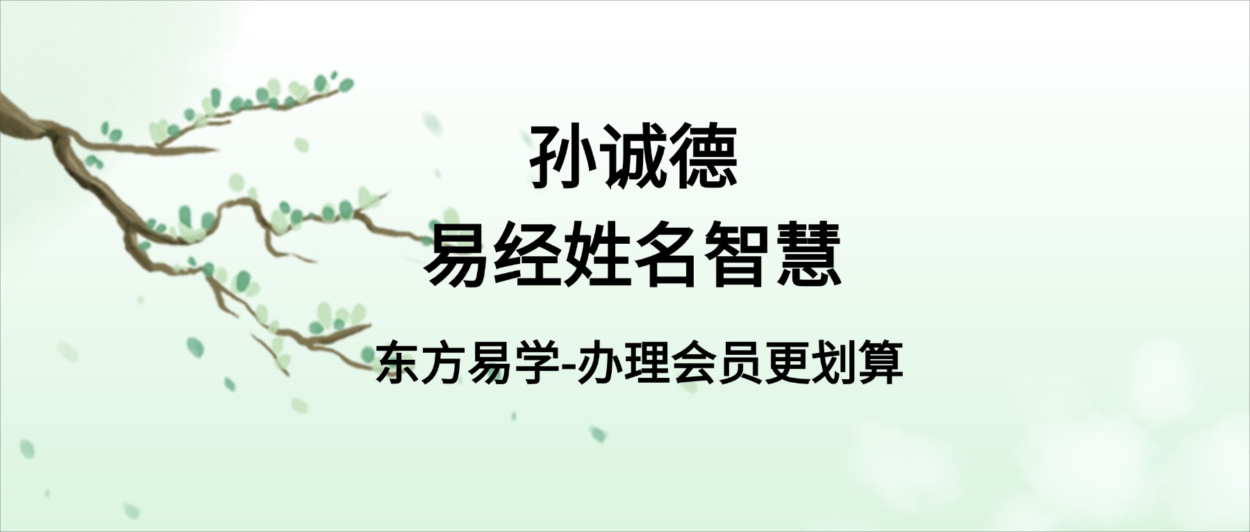 孙诚德易经姓名智慧 视频15集（东方易学）