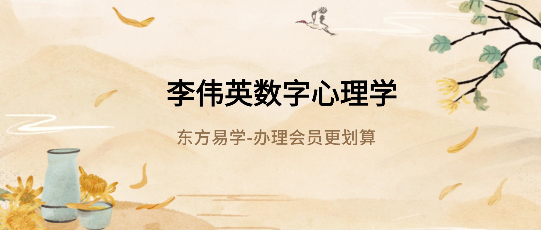 李伟英数字心理学视频72集（东方易学）