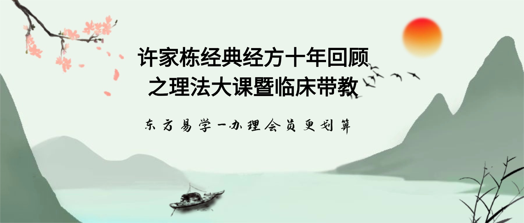 许家栋经典经方十年回顾之理法大课暨临床带教 视频14集（东方易学）