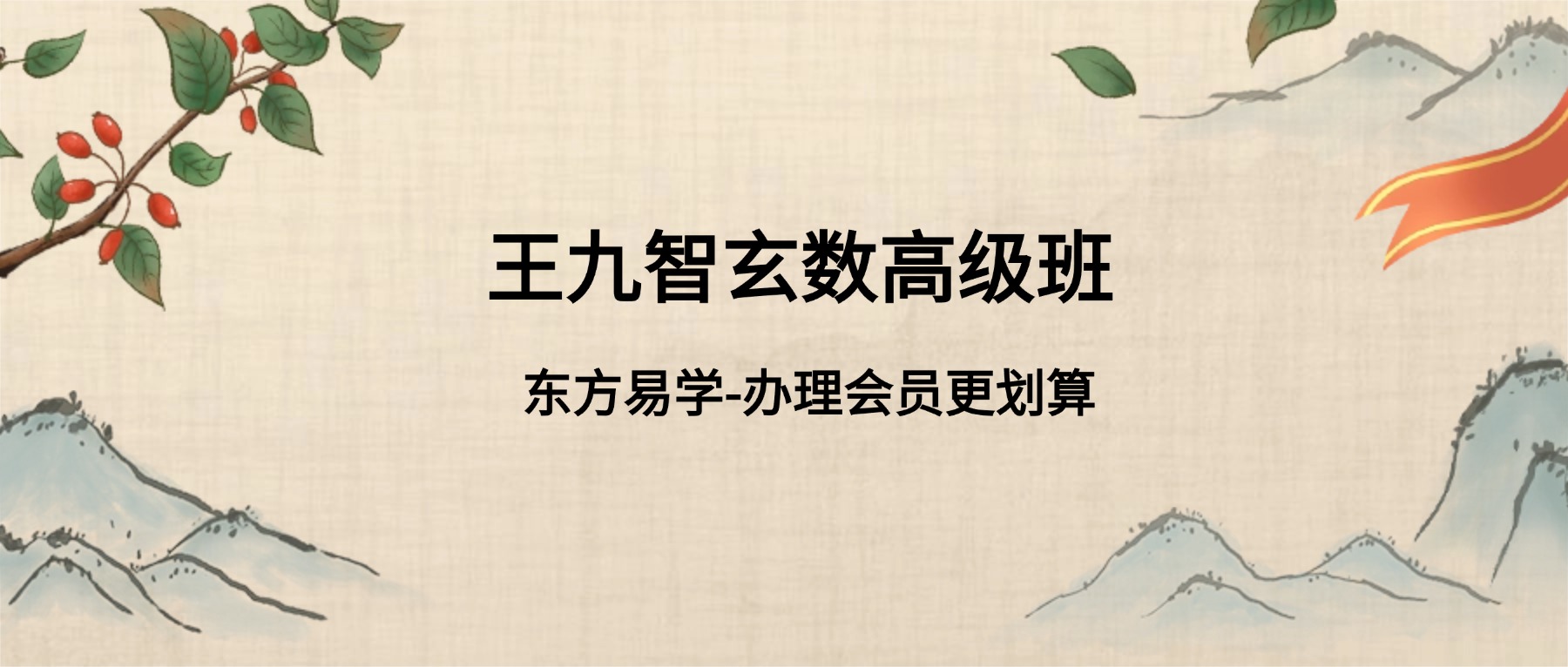 王九智玄数高级班 视频课36集（东方易学）