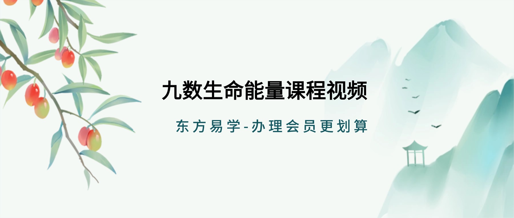 九数生命能量课程视频31集（东方易学）