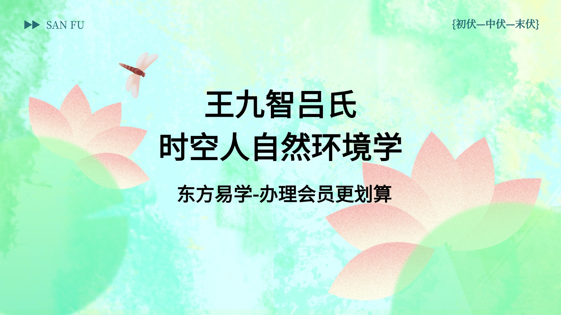 王九智吕氏时空人自然环境学视频23集（东方易学）