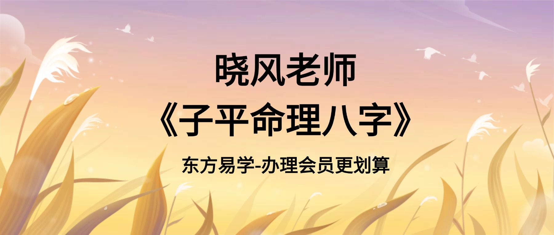 晓风老师《子平命理八字》教学视频85集