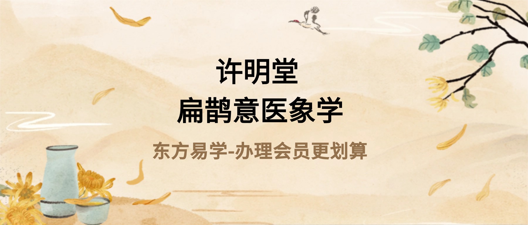 许明堂 扁鹊意‮医象‬学 见象改象‮讨研‬会二期视频45讲+资料（东方易学）