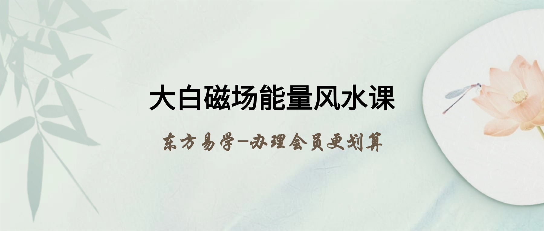 大白磁场能量风水课（东方易学）