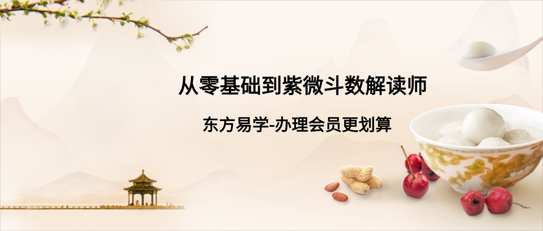 绽放星空能量：从零基础到紫微斗数解读师 视频100集