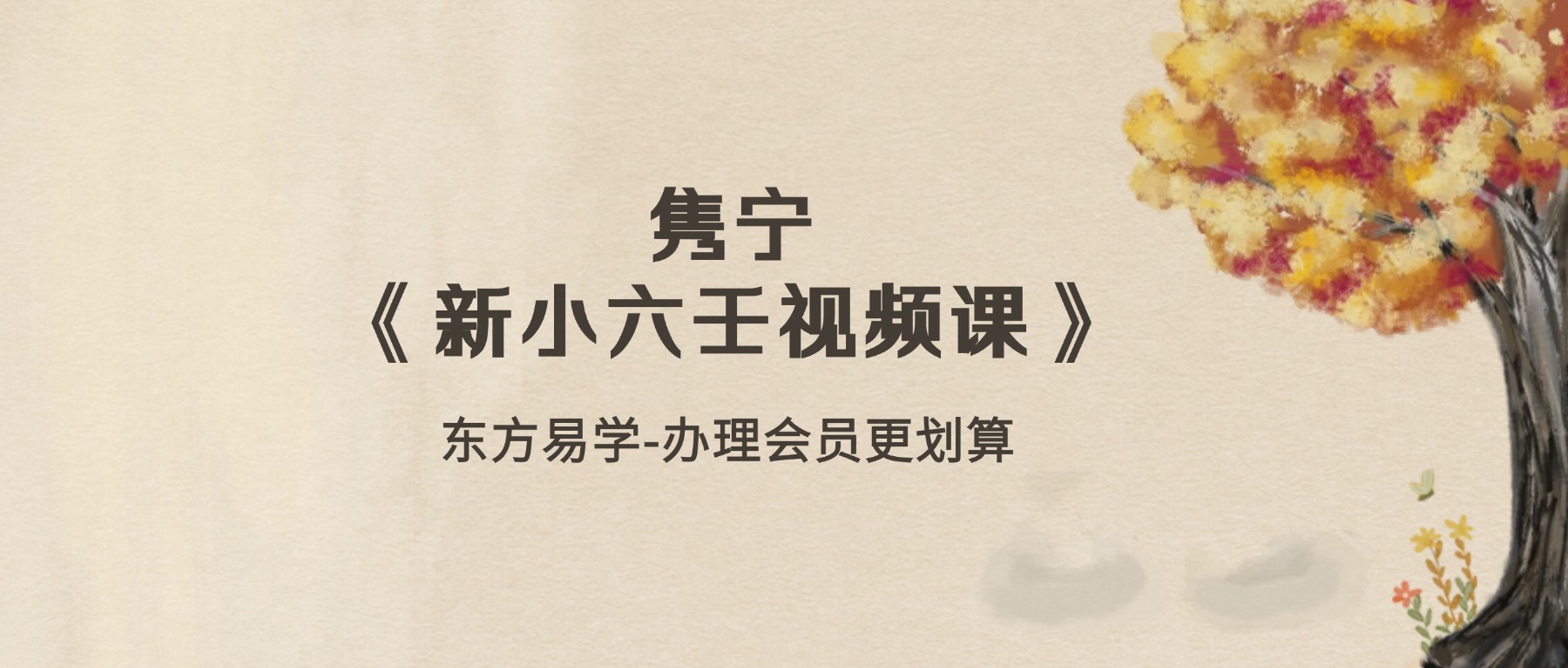 隽宁《新小六壬视频课》53集视频课（东方易学）