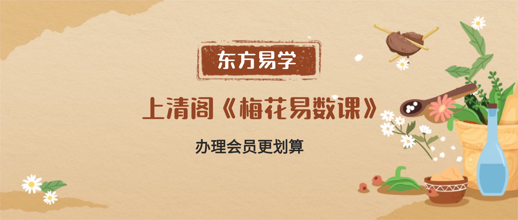 上清阁《梅花易数课》28集视频