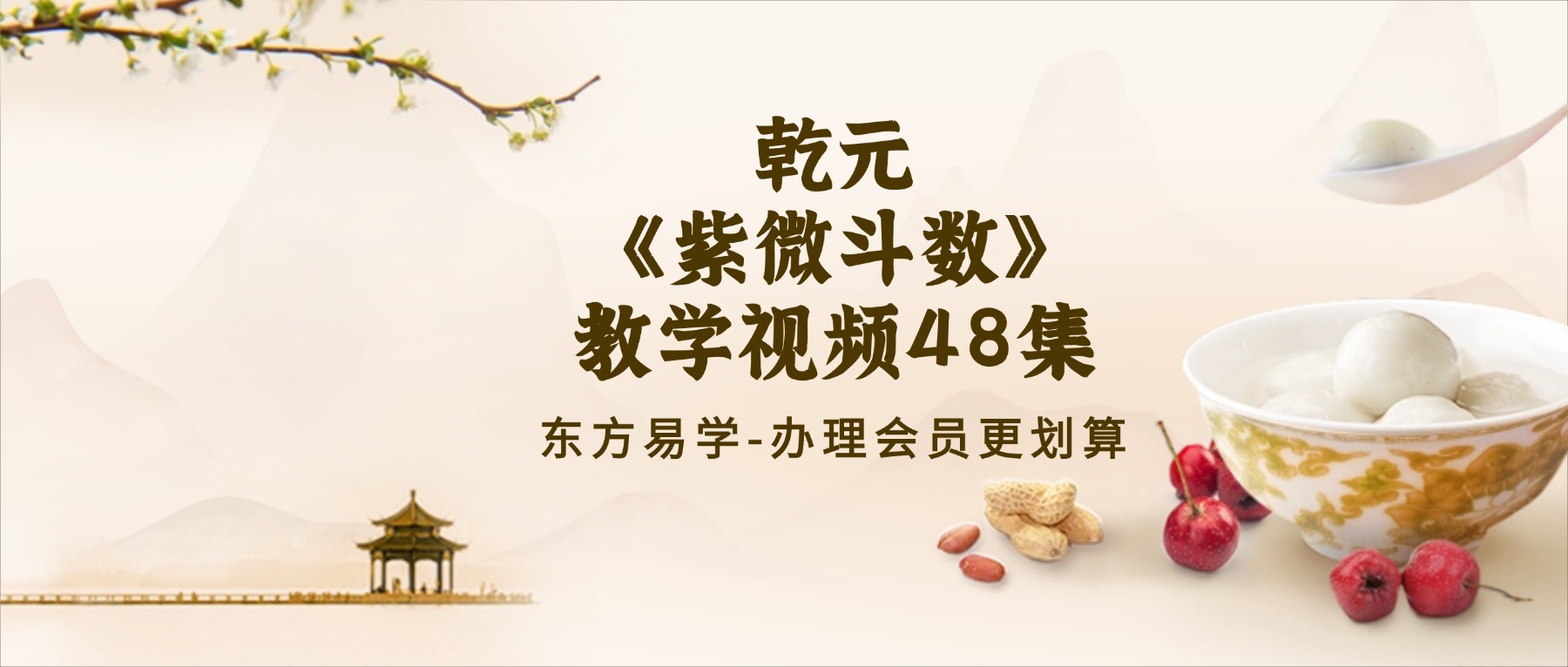 乾元《紫微斗数》教学视频48集（东方易学）