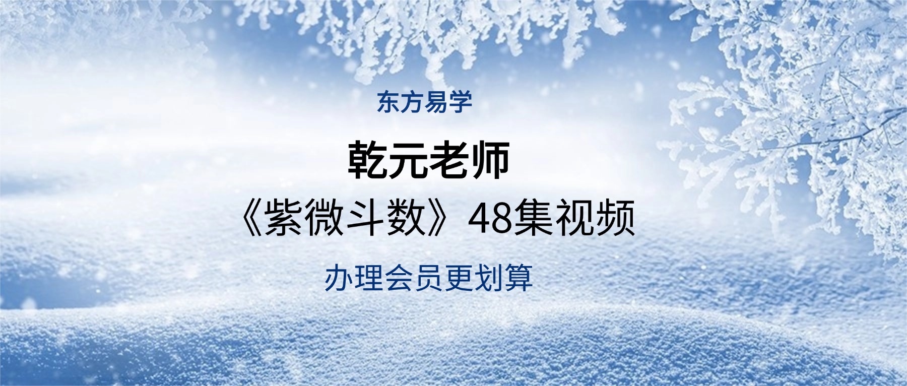 乾元老师《紫微斗数》48集视频（东方易学）