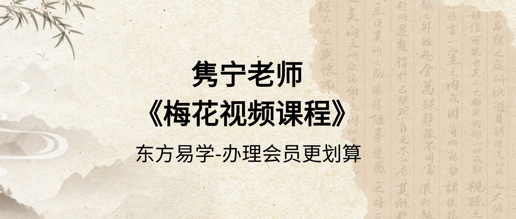 隽宁老师《梅花视频课程》89集视频