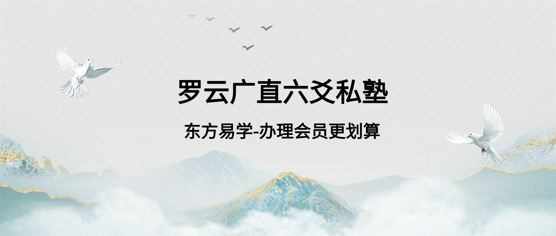罗云广直六爻私塾 职业课视频27集（东方易学）