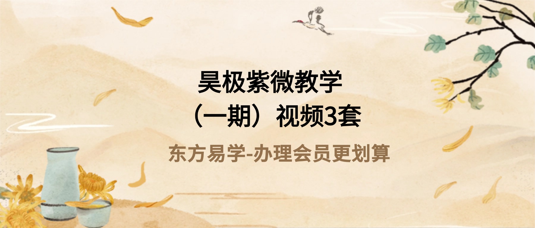 昊极紫微教学（一期）视频3套（东方易学）