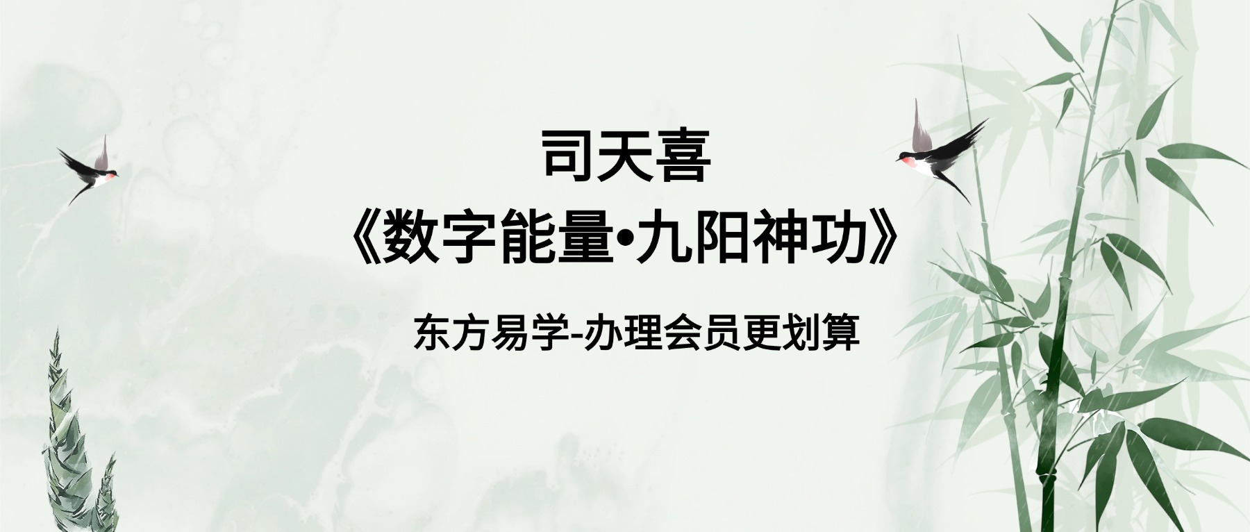 司天喜《数字能量•九阳神功》