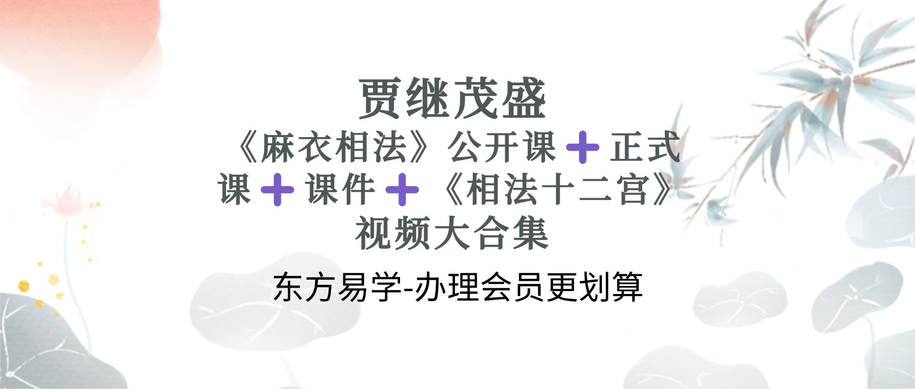 易朴好课贾继茂盛《麻衣相法》