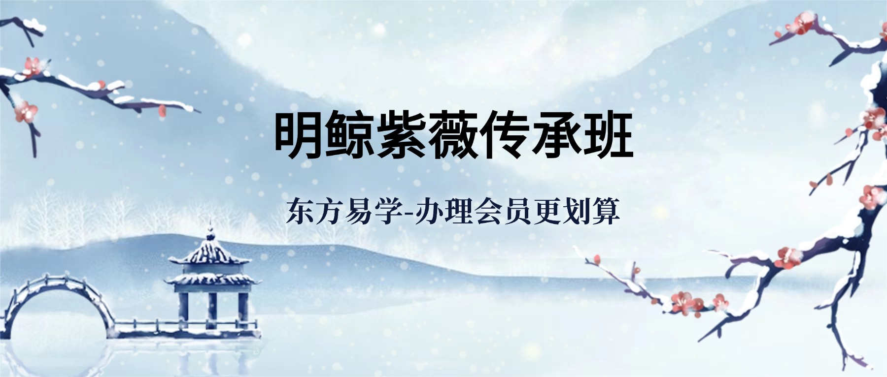 明鲸紫薇传承班视频15集+课件pdf（东方易学）