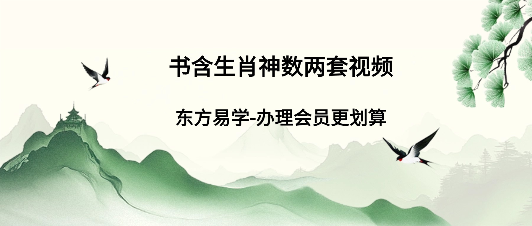 书含生肖神数两套视频35集（东方易学）