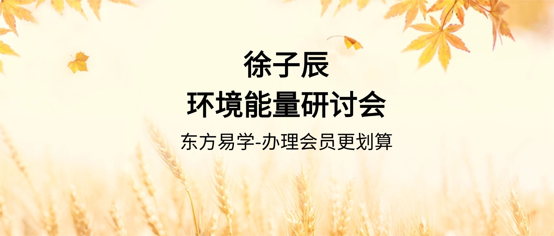 徐子辰环境能量研讨会视频16集（东方易学）
