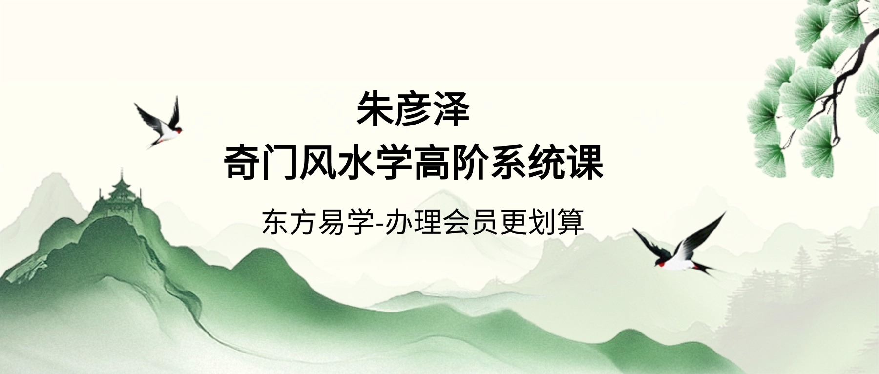 朱彦泽《奇门遁甲-奇门风水学高阶系统课》40集（东方易学）