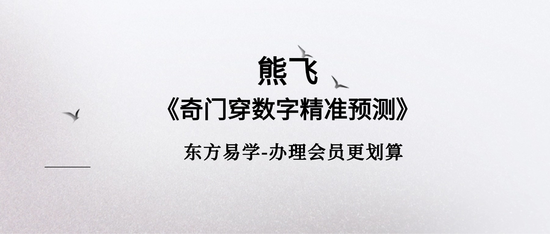 熊飞《奇门穿数字精准预测》10集视频