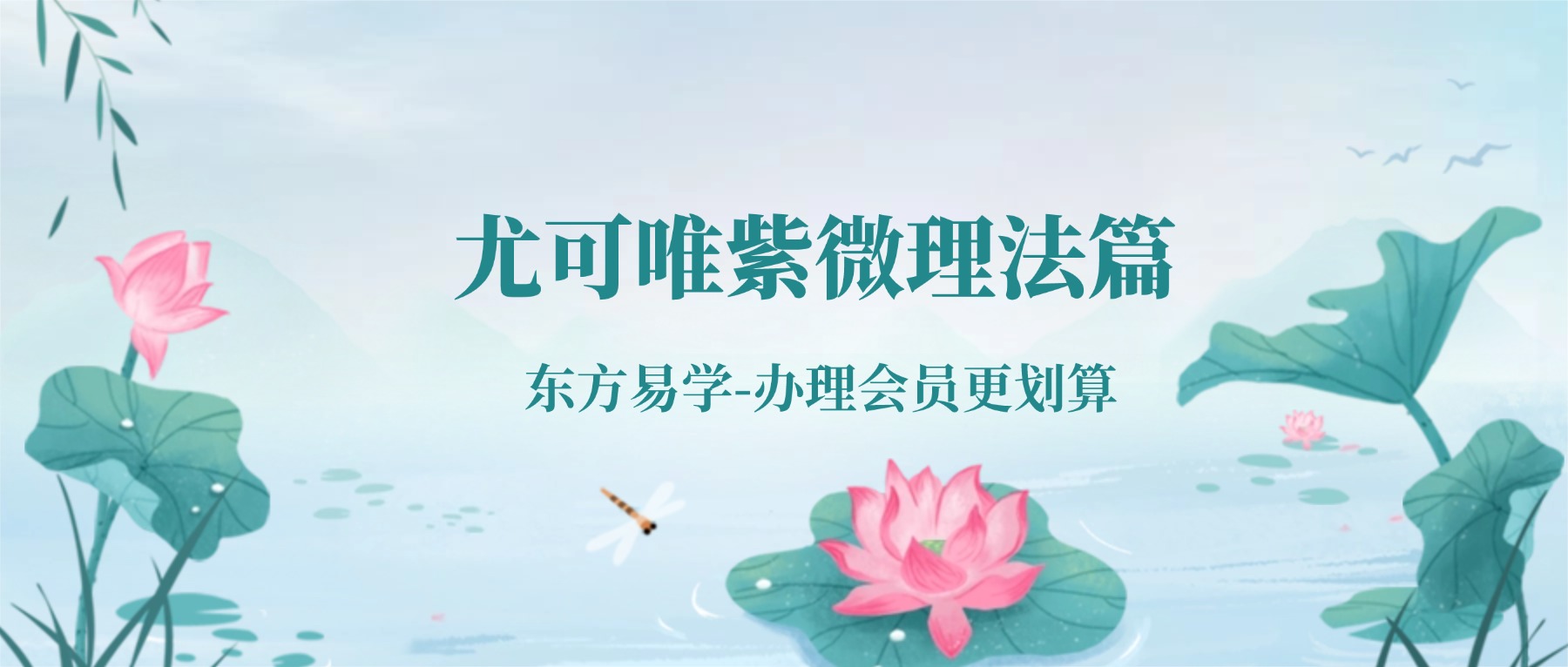 尤可唯紫微理法篇 视频12集（东方易学）