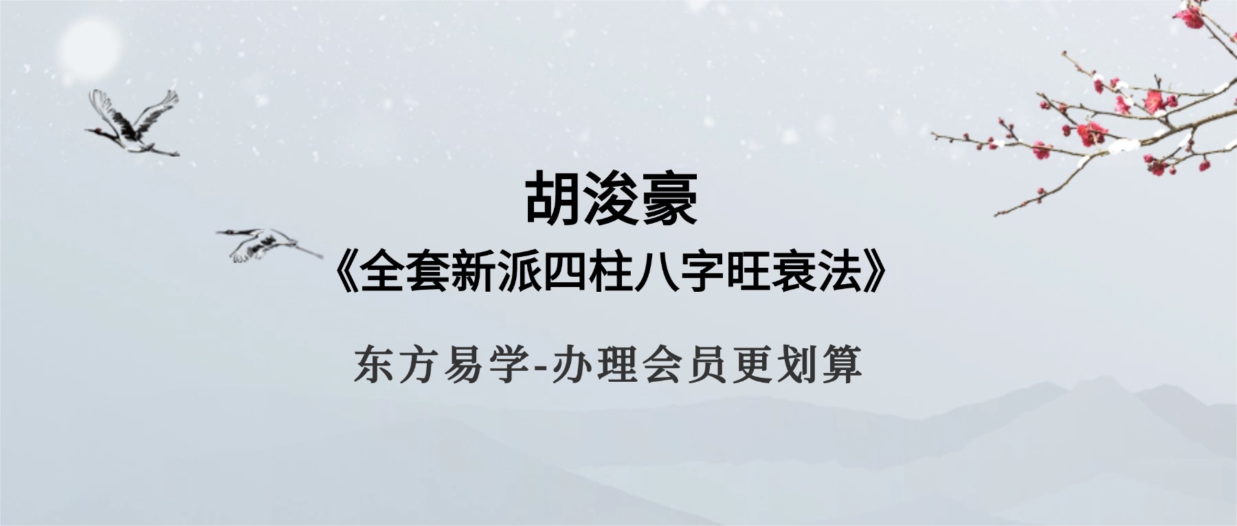胡浚豪《全套新派四柱八字旺衰法》19集视频