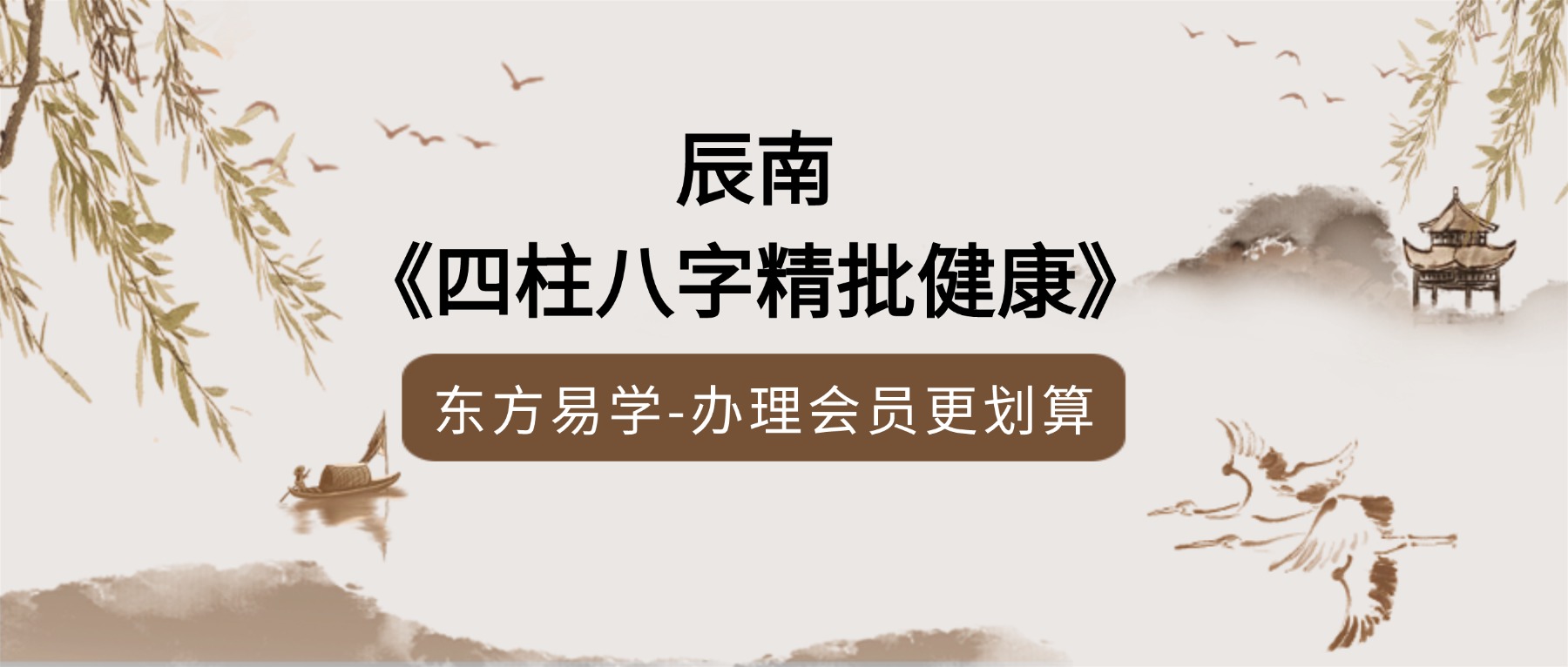 辰南《四柱八字精批健康》44集视频课（东方易学）