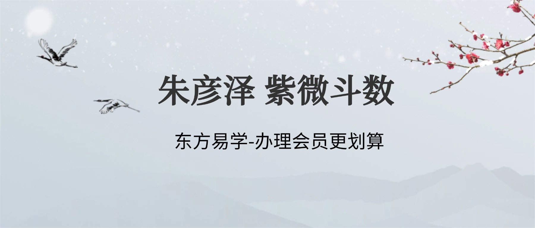 朱彦泽 紫微斗数 23集视频课（东方易学）