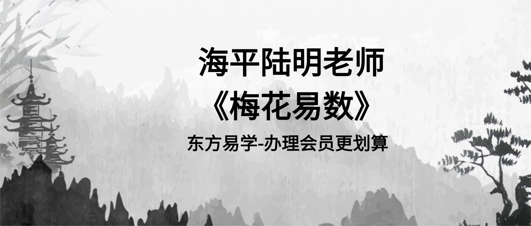 海平陆明老师《梅花易数》58集视频（东方易学）